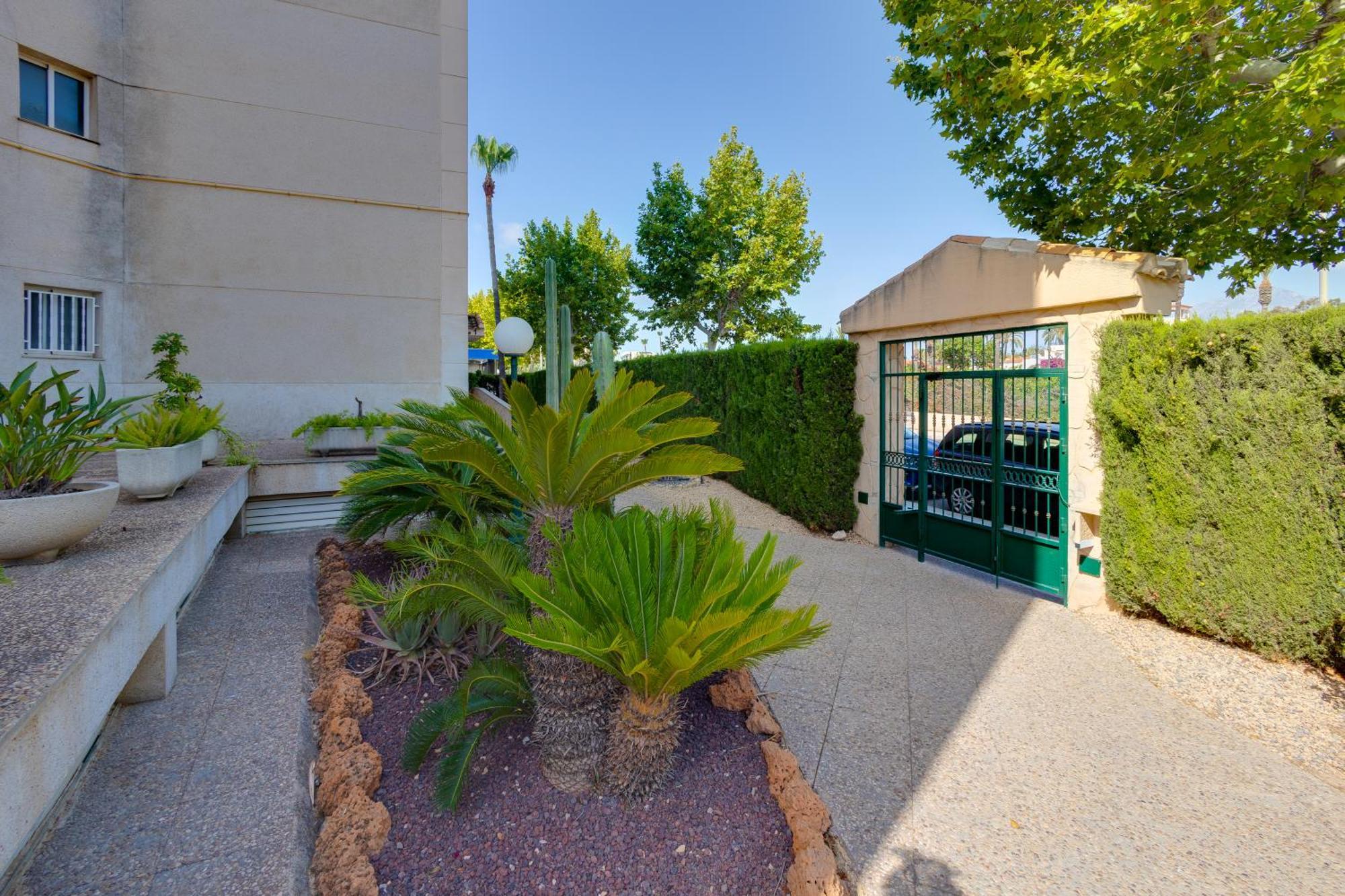 Apartamentos Oasis El Albir Extérieur photo