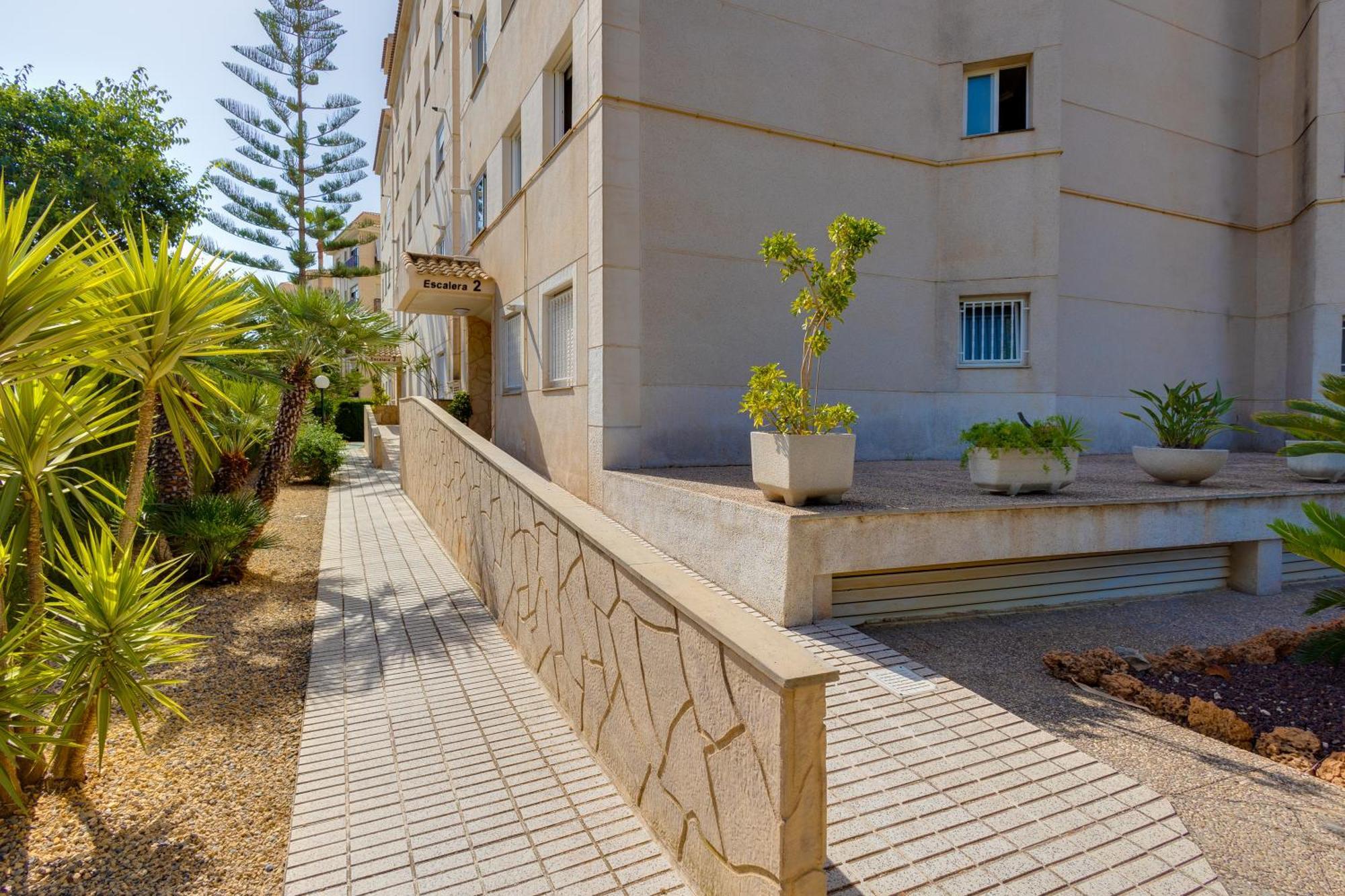 Apartamentos Oasis El Albir Extérieur photo